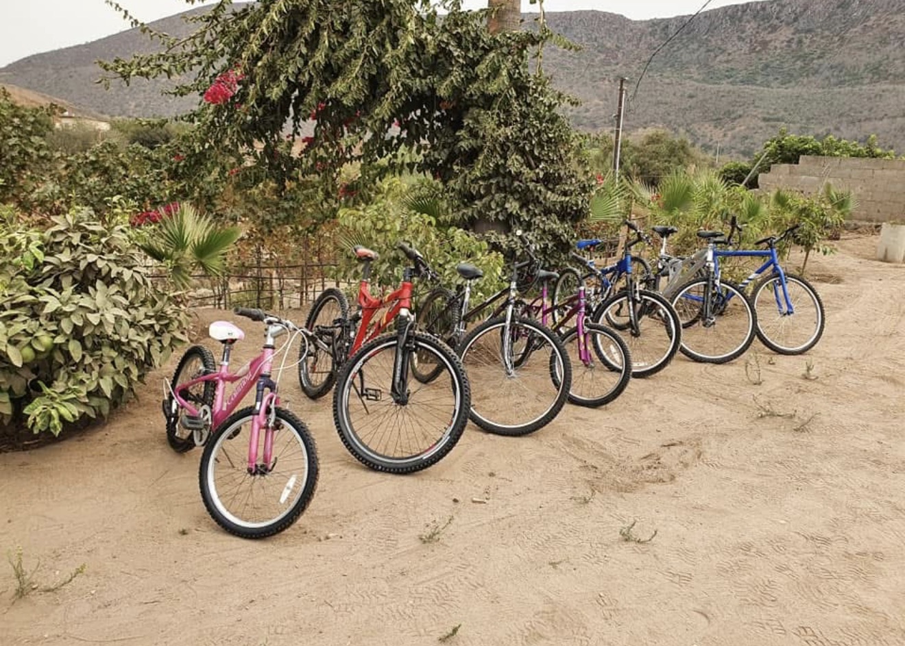 Bicicletas listas para un recorrido familiar